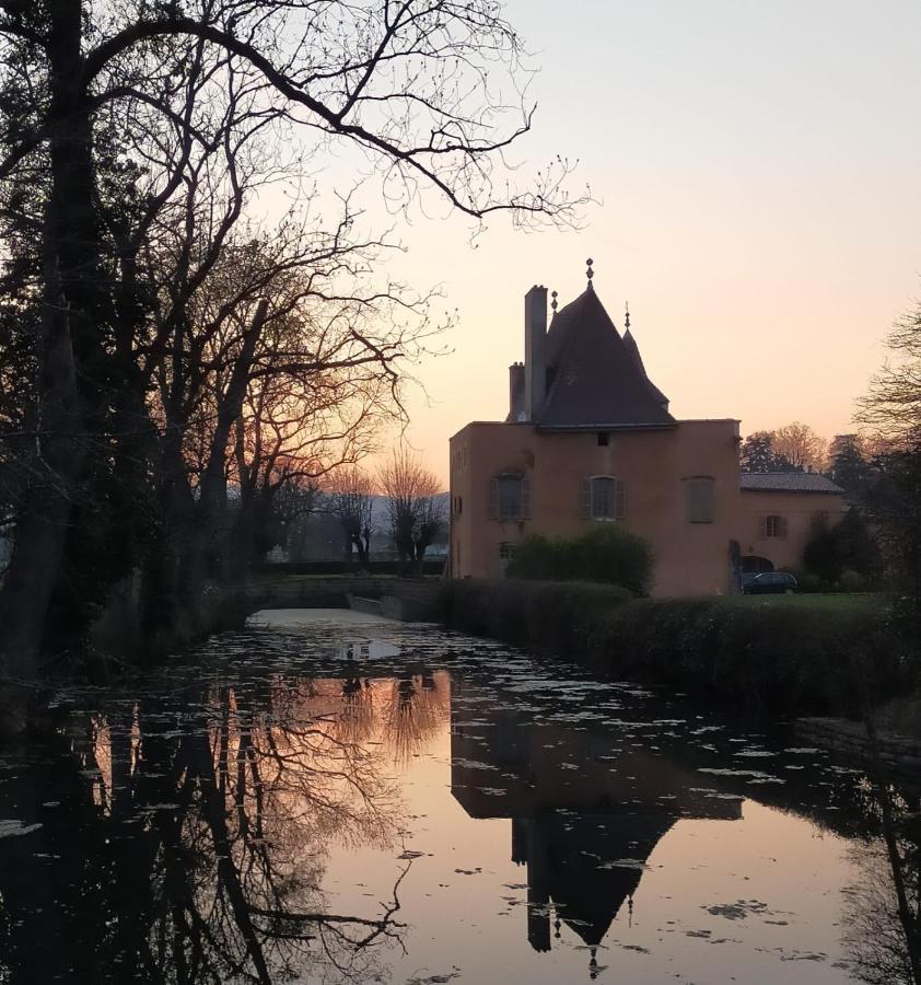 Château de la Venerie Denicé Exterior foto