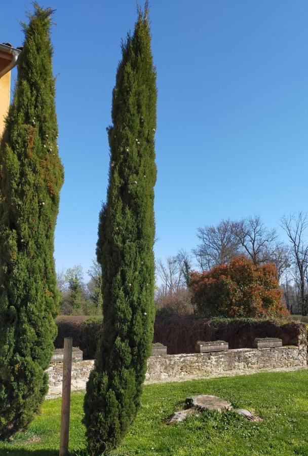 Château de la Venerie Denicé Exterior foto