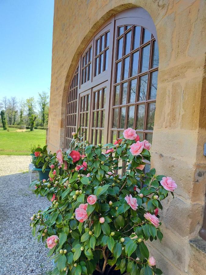 Château de la Venerie Denicé Exterior foto