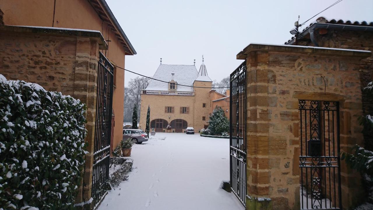 Château de la Venerie Denicé Exterior foto