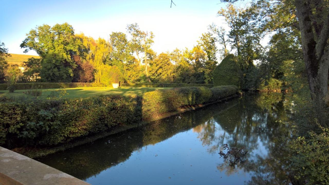 Château de la Venerie Denicé Exterior foto