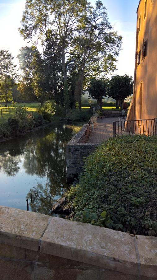 Château de la Venerie Denicé Exterior foto